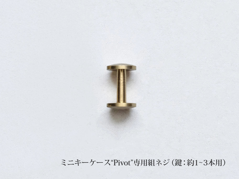 <a href="https://munekawa-jp.pro/products/kc3">ミニキーケース“Pivot”本品はこちら</a>