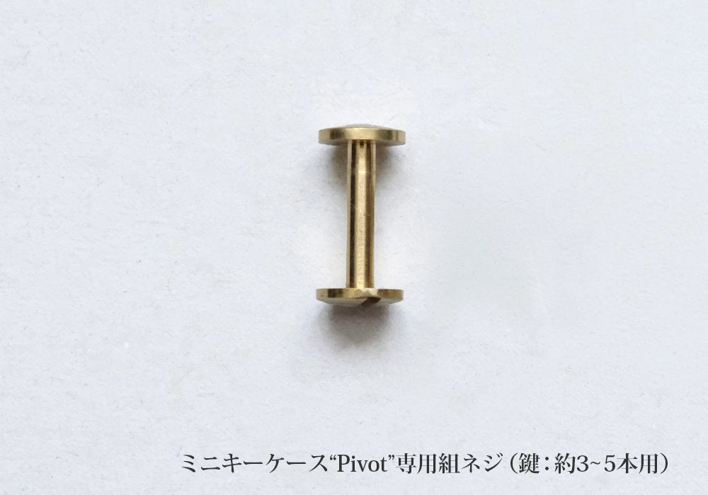 Screw-post hardware for "Pivot" mini key case (add-on)